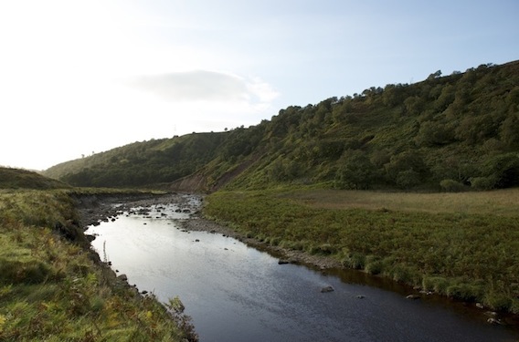 Berriedale-River-East Looking east towards the sea from Knockfin