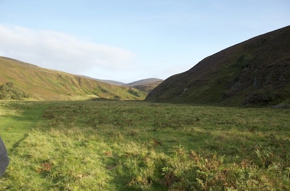 Knockfin2 Down on the field at Knockfin Berriedale